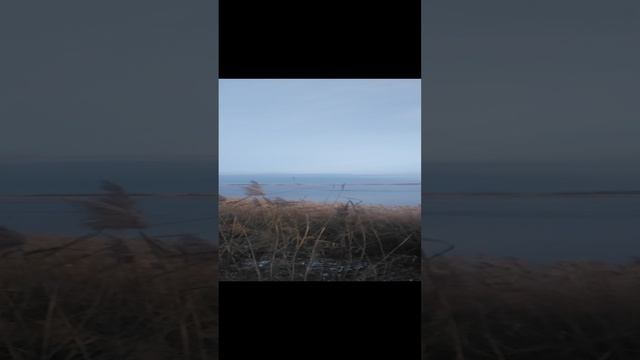 VID_20241215_084912.mp4