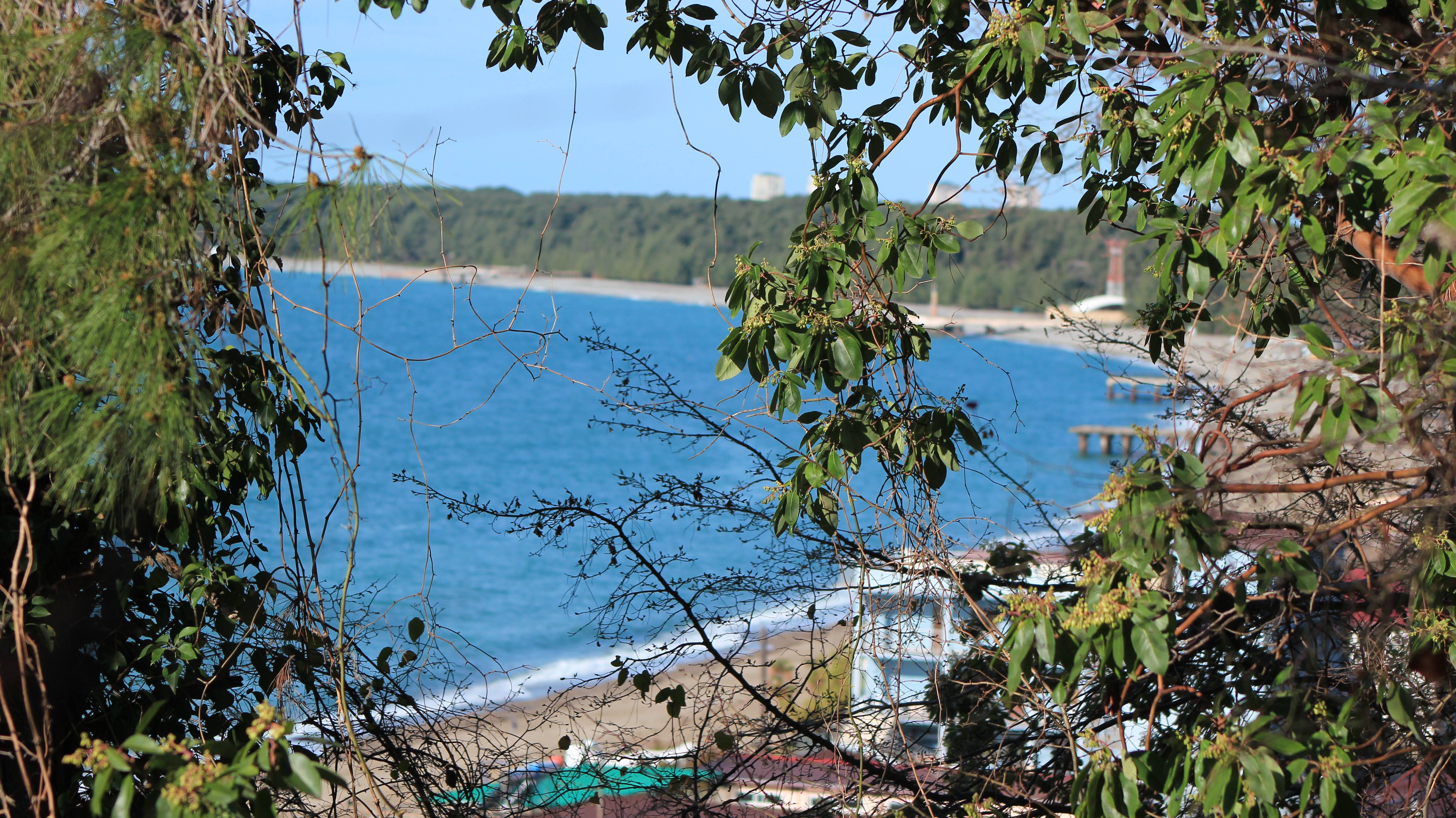 Абхазия Пляж микрорайона "Рыбзавод" Лидзава съемка с дрона март месяц