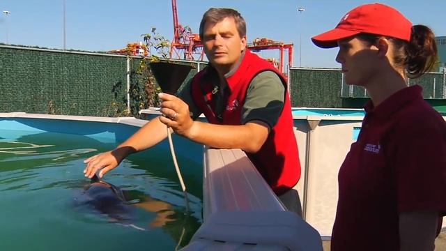 Dr.  Martin Haulena  Why rescue & rehab is important