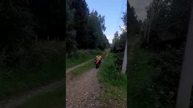 VID-20240806-WA0011.mp4