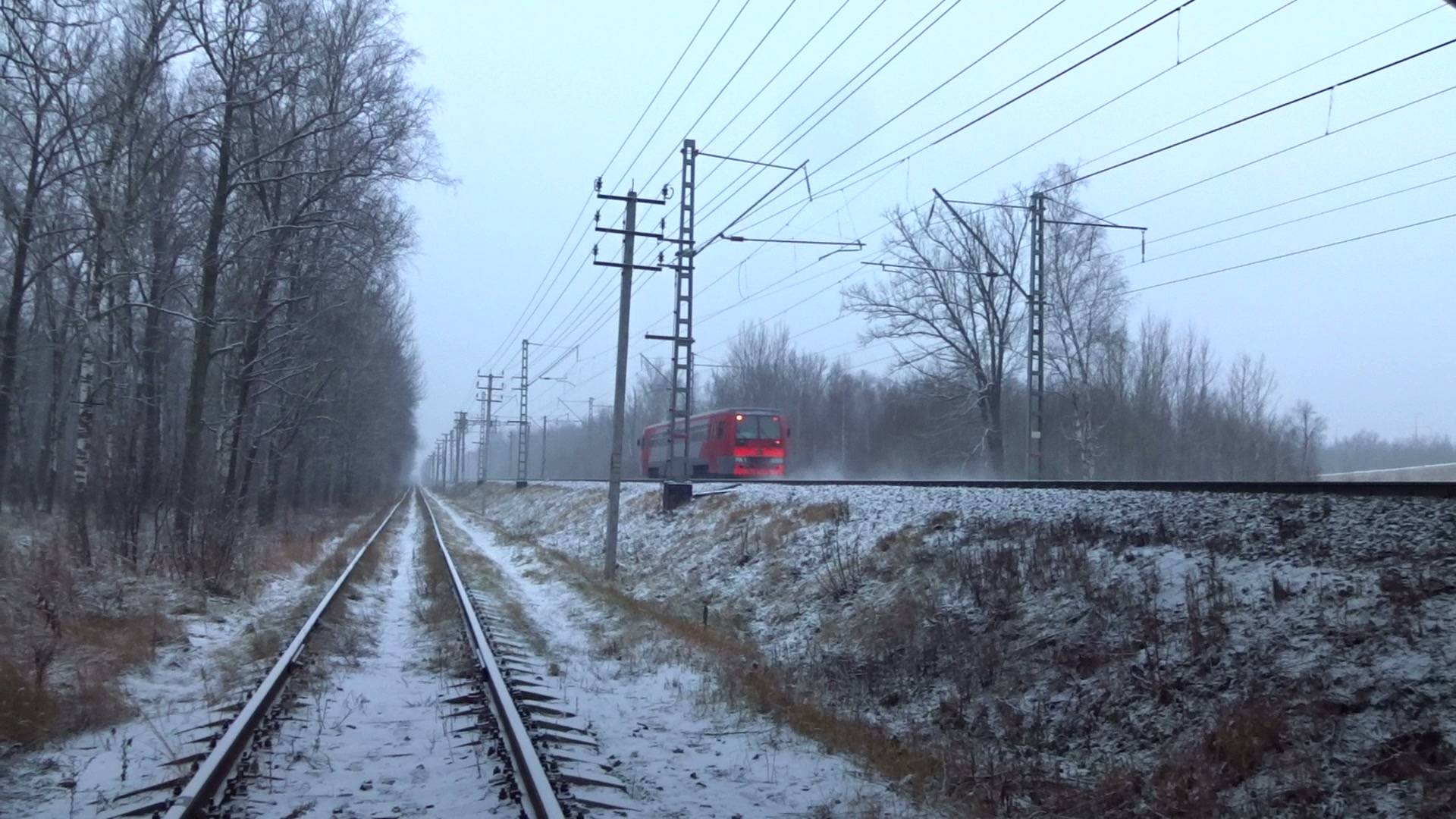 Рельсовый автобус РА1-0059 на перегоне Петряевка - Окская