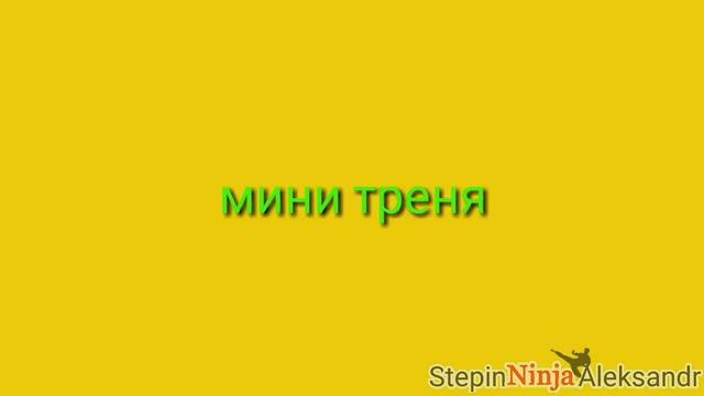 Мини треня(разминка)_Александр Степин_HD