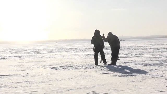 THE BLUE ICE REPORT  THURSDAY JAN 28 2021