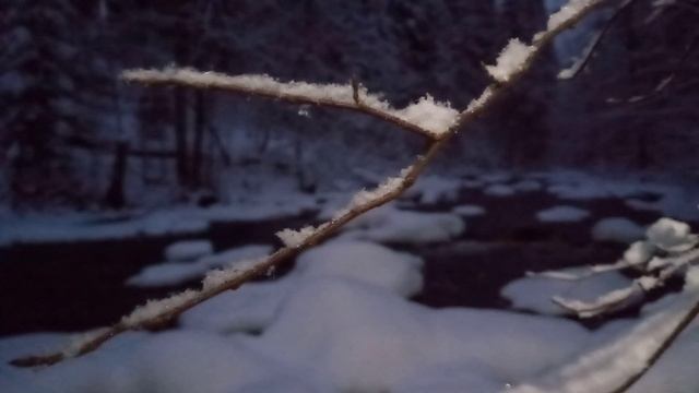 Речка в лесу  ❄🌲💧