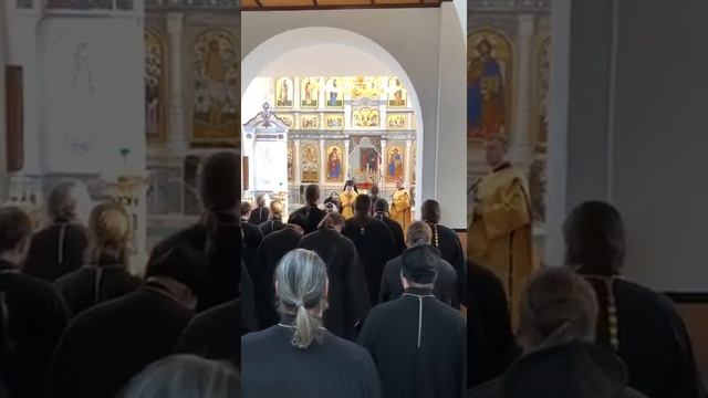 WhatsApp Video 2018 12 28 at 22 52 46