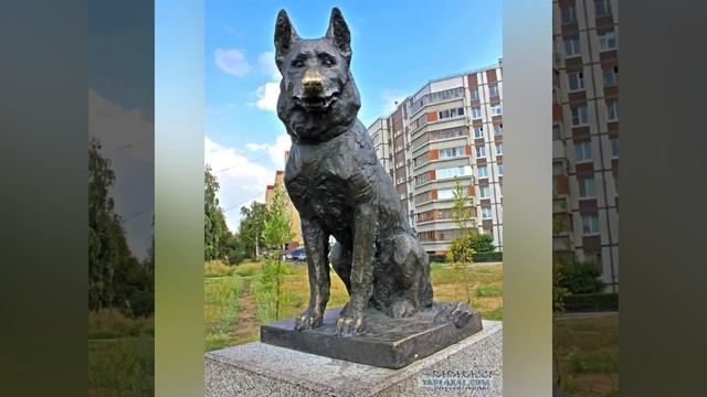 Прогулка по ... Тольятти