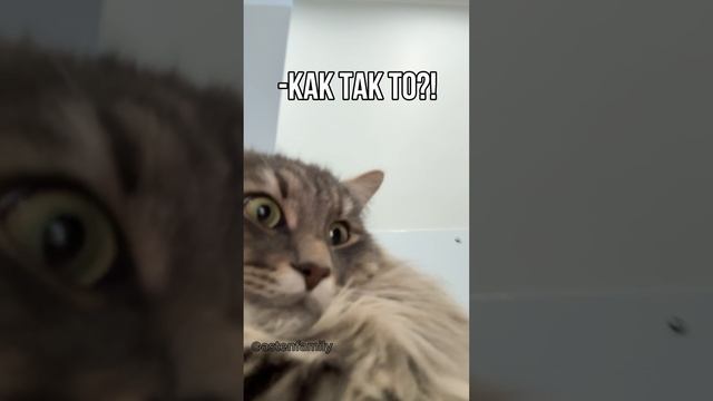 Меня ничем не удивить🙃