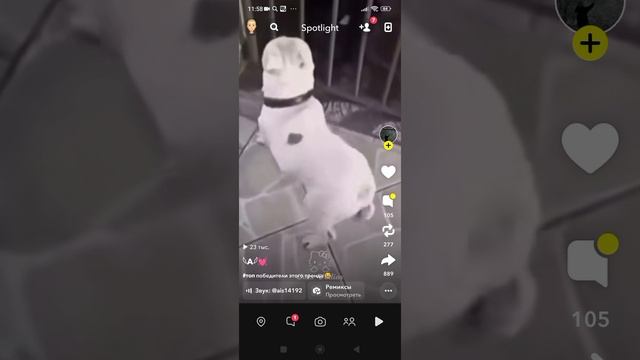 музыка