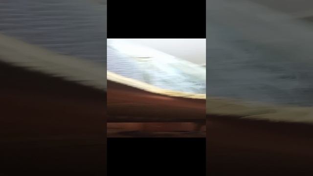 1000008415.mp4