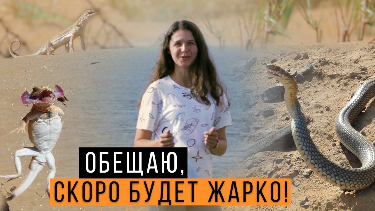 Обращение к подписчикам: скоро будет ЖАРКО! / Планы на ЗМЕЕПУТЕШЕСТВИЕ / Змеелов - ученый