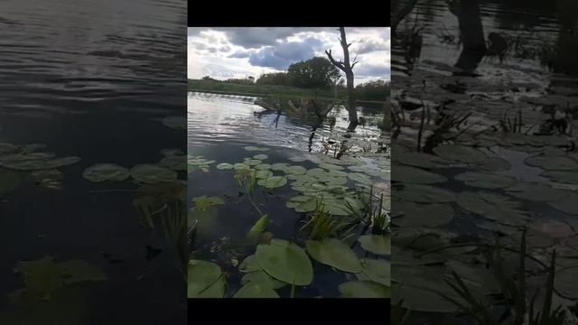 Просто уходило лето