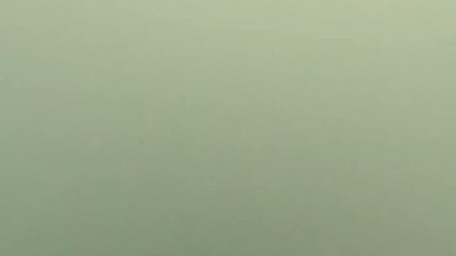 Пляж Олимпийского резерва СССР в Абхазии