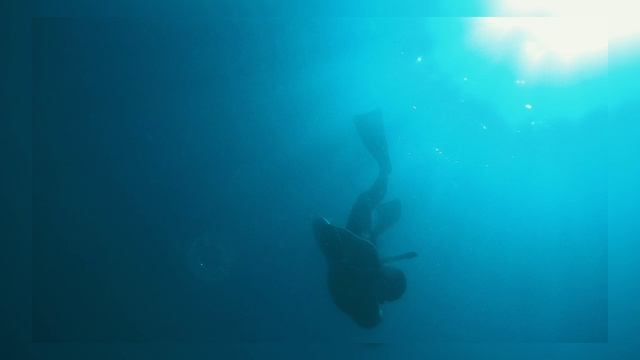 Underwater world