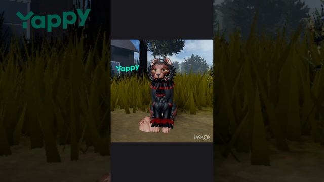 1006819252.mp4