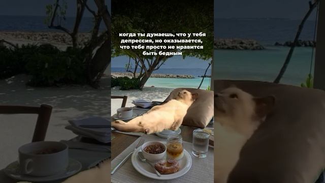Это круто изменит твою жизнь, прочти 👇
Забери подарок в описании