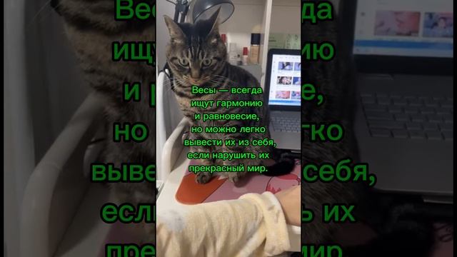 Астрология.
Гороскоп на каждый день