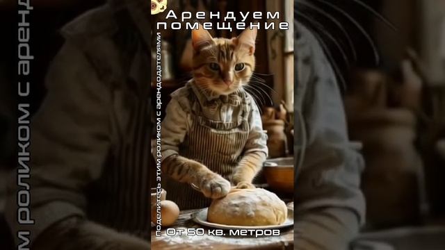 Арендуем помещение #аренда #коммерческаянедвижимость