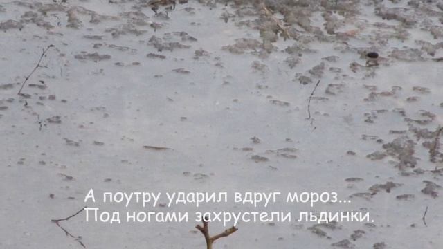 Фонари