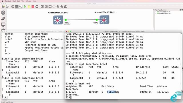 023. Arista import and configuration (Part 2)