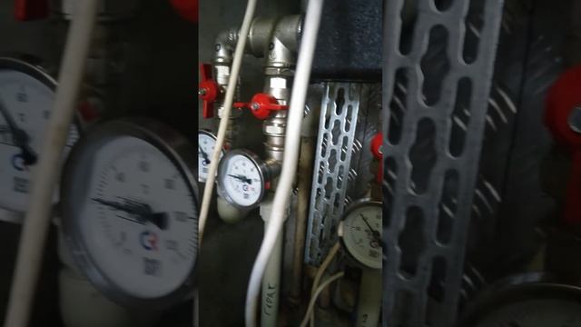 d1a751af-3618-46fc-b5ae-cc1e4cd2b828-1_all_931.mp4