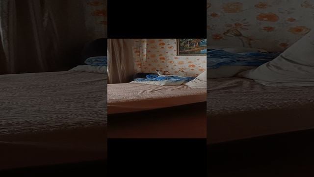 1000028331.mp4
