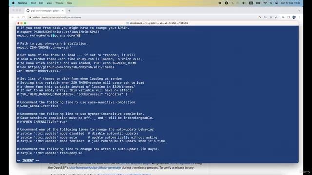 005 Как устанавливать и использовать бинарные пакеты в Go