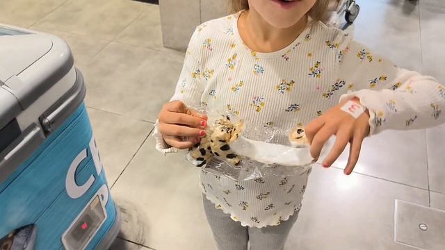 Это очень ВКУСНО😋 Покупки в АТБ на 1100 грн🛒 Готовимся к школе
