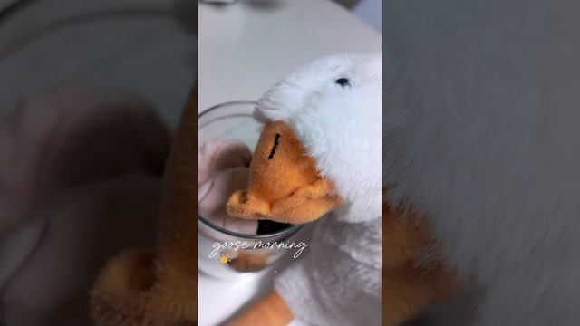 утро гуся 🤷♀️