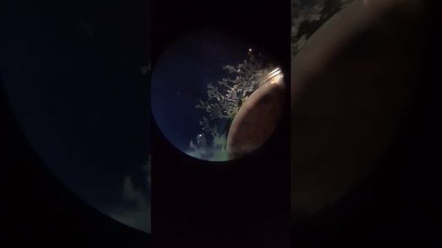 Рост дендритов серебра