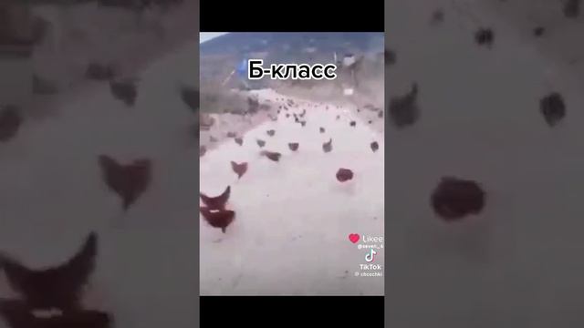 Like_7448424846753367208.mp4