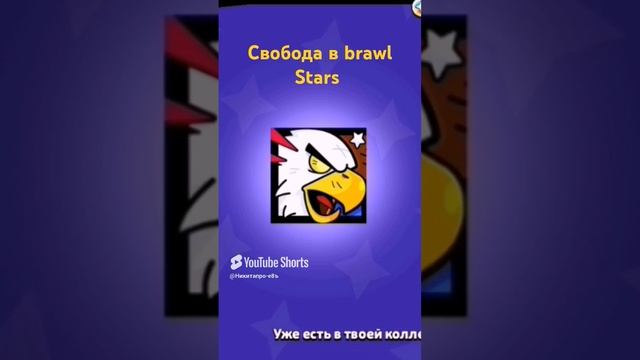 Brawl stars x США