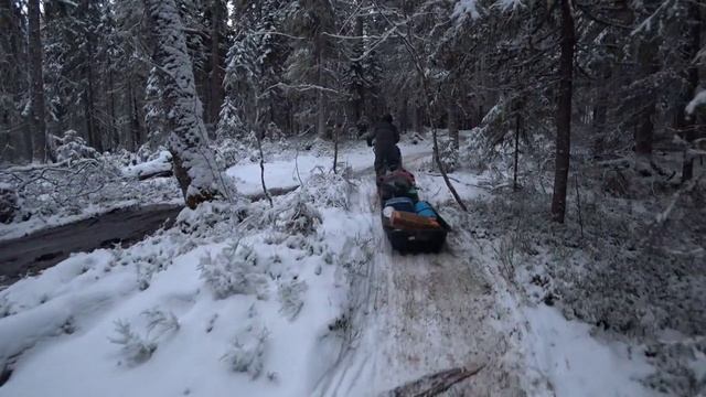 Дорога в Ухту на 12.12.24 г.