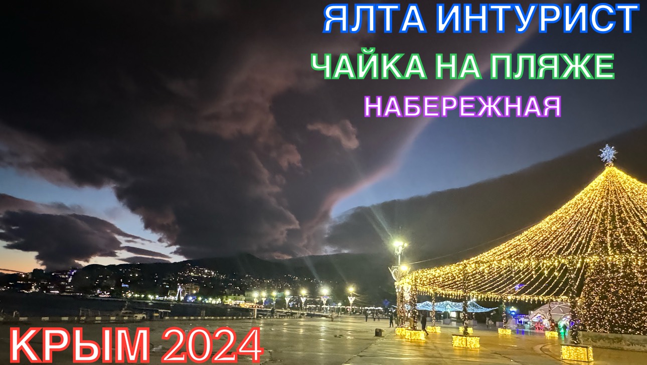 КРЫМ 2024 | ЯЛТА ИНТУРИСТ | ЧАЙКА НА ПЛЯЖЕ | НАБЕРЕЖНАЯ | 12 декабря ❤️🌊⛰🌴🏖🐬☀️🚵
