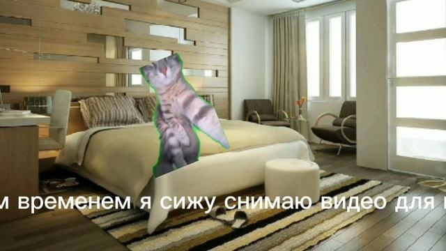 Хоти 2 часть про мемных котов тогда подписывайте и ставьте лайки мне будет очень приятно))☺️