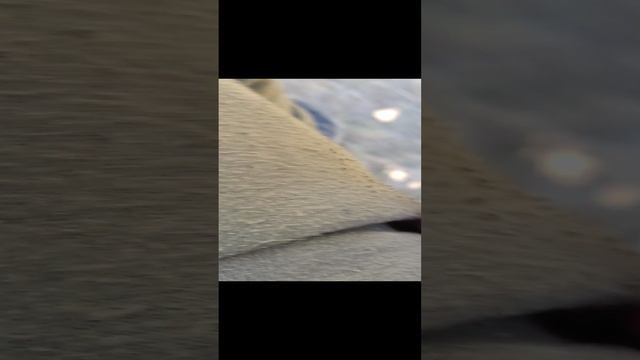 1000084306.mp4