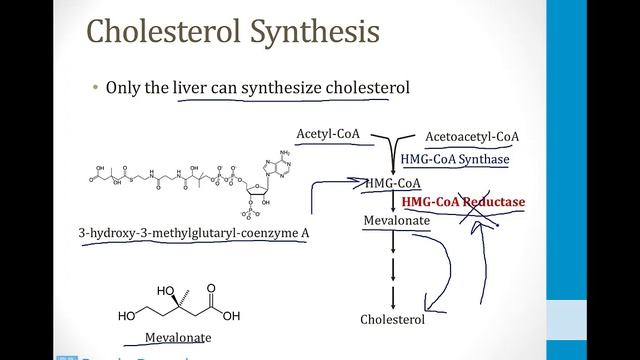 Biochemistry - 5. Lipids - 1. Lipid Metabolism atf