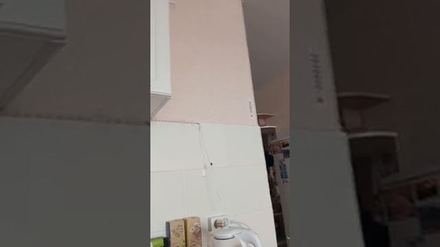 15.12.24/14:20 Чмо и сломанный кран