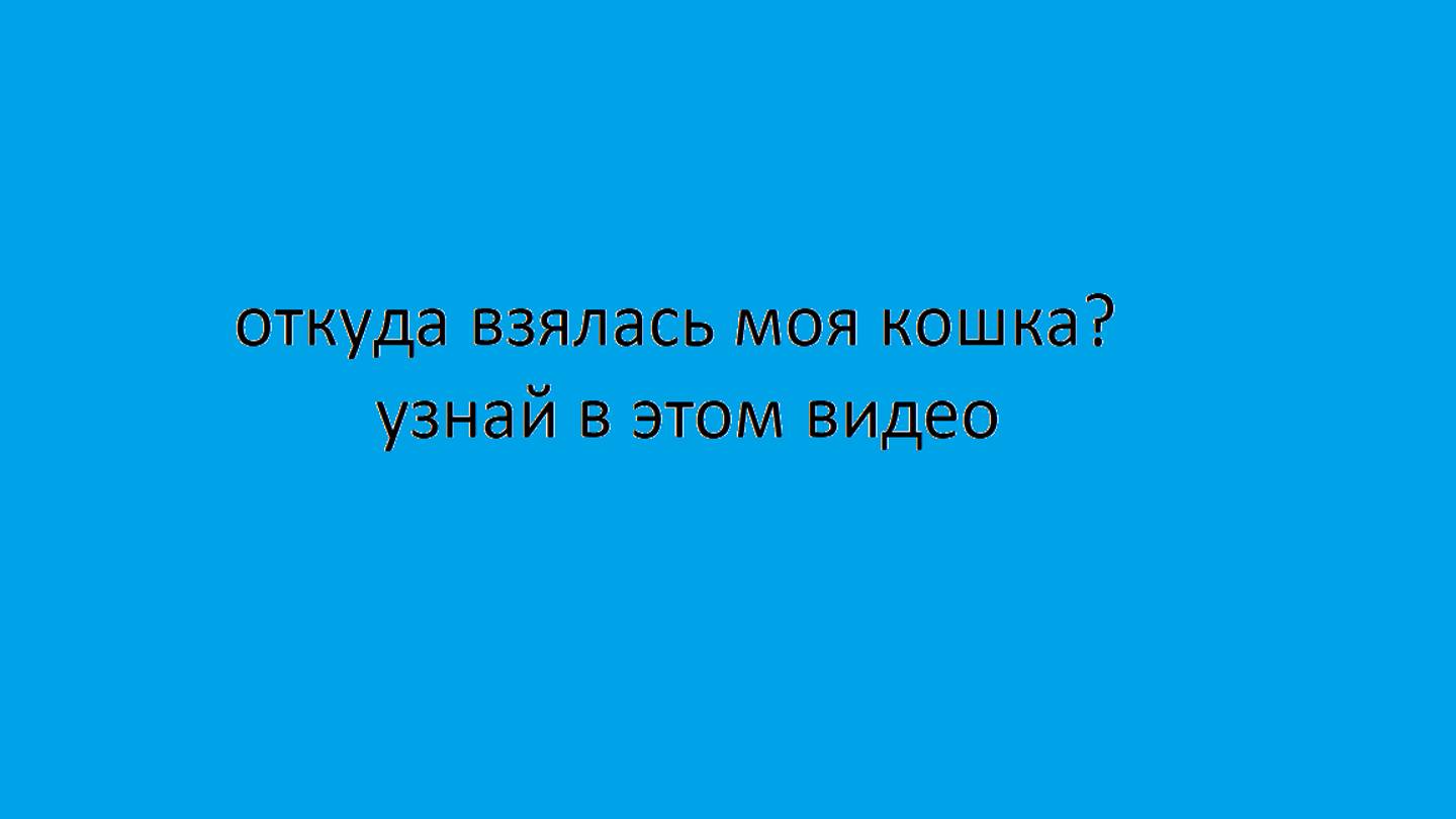 история муси