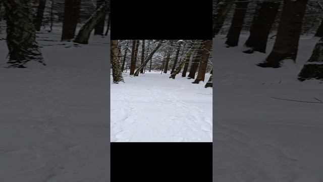 от суеты городской