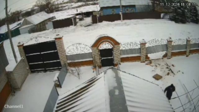 2024-12-15-102430038