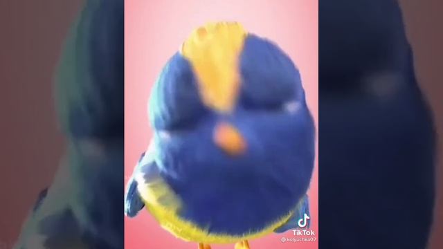 Кто знает мем ?