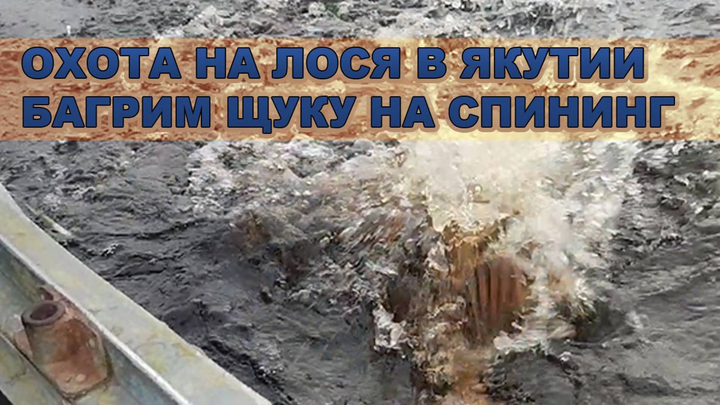 Охота на лося в Якутии, багрим больших щук на спиннинг.