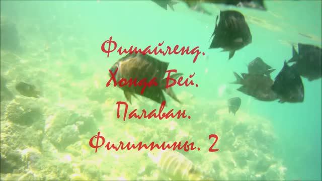 Фишайленд Филиппины Снорклинг 2