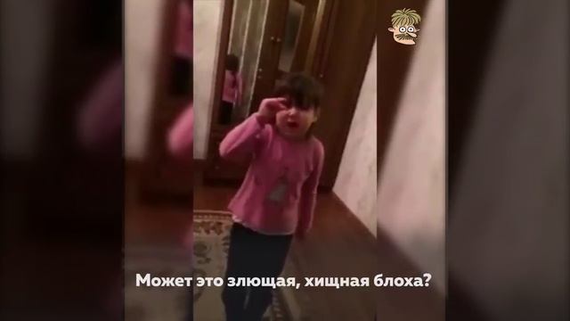 Вы поддерживаете