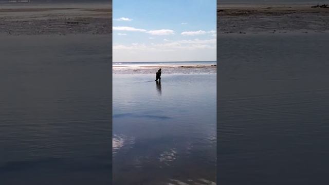 Азовские грязи #short #мариуполь