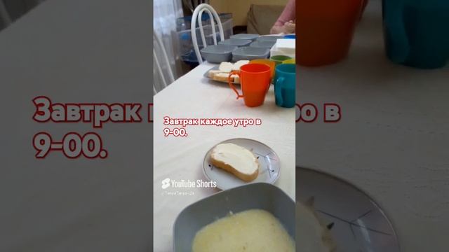 Не готовлю - только ем. (5)