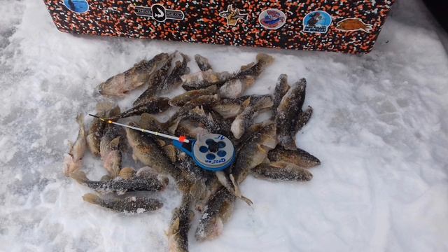 Рыбалка на ротана🎣 Рыбачил на мормышку с пучком мотыля🎣