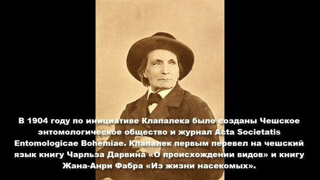 Франтишек Клапалек