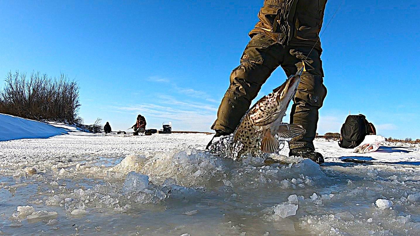 ЩУКА НА КРАБА. Река Амур Зимняя рыбалка