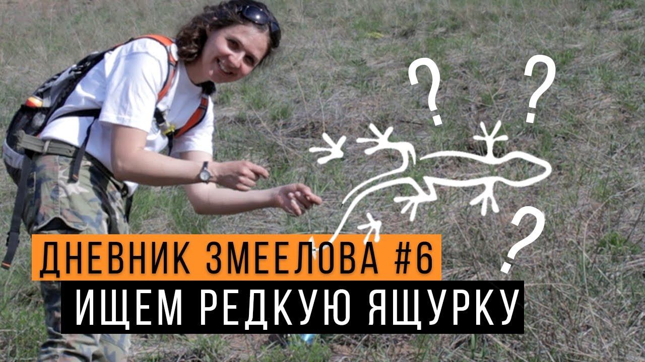 В поисках РЕДКОЙ ящурки -  Дневник змеелова #6 / Змеелов - ученый